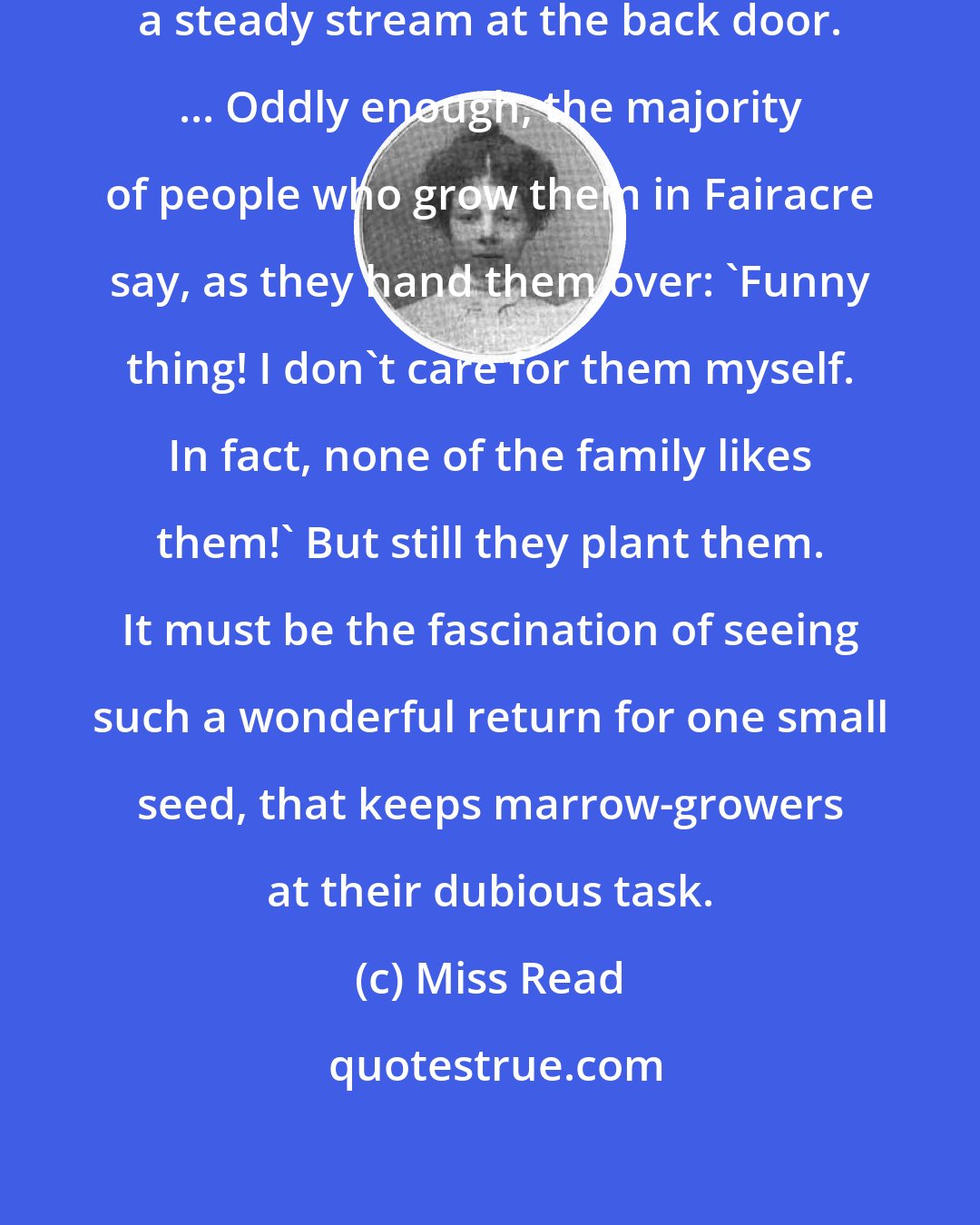 Miss Read: marrows - alas! - are arriving in a steady stream at the back door. ... Oddly enough, the majority of people who grow them in Fairacre say, as they hand them over: 'Funny thing! I don't care for them myself. In fact, none of the family likes them!' But still they plant them. It must be the fascination of seeing such a wonderful return for one small seed, that keeps marrow-growers at their dubious task.