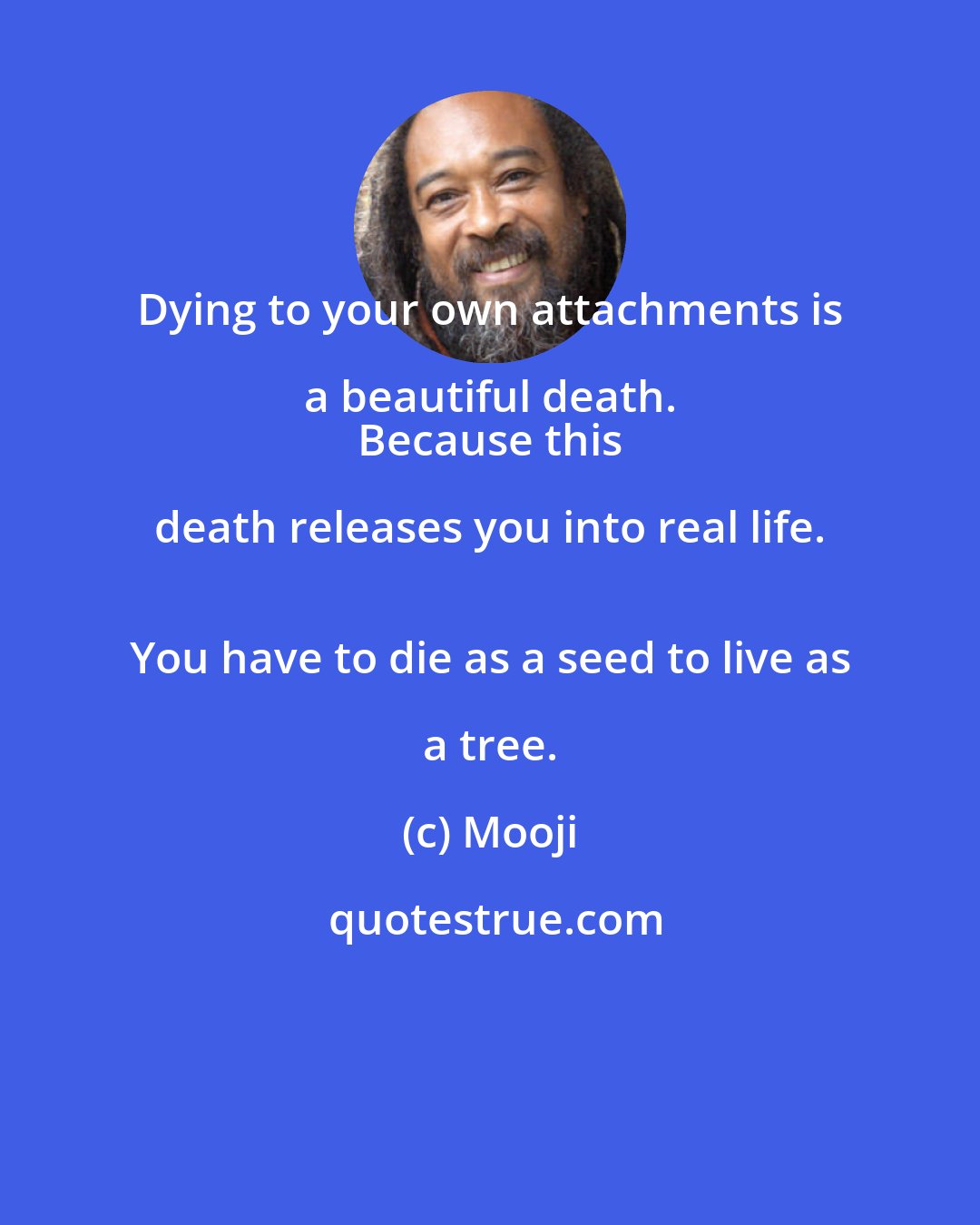 Mooji: Dying to your own attachments is a beautiful death. 
 Because this death releases you into real life. 
 You have to die as a seed to live as a tree.
