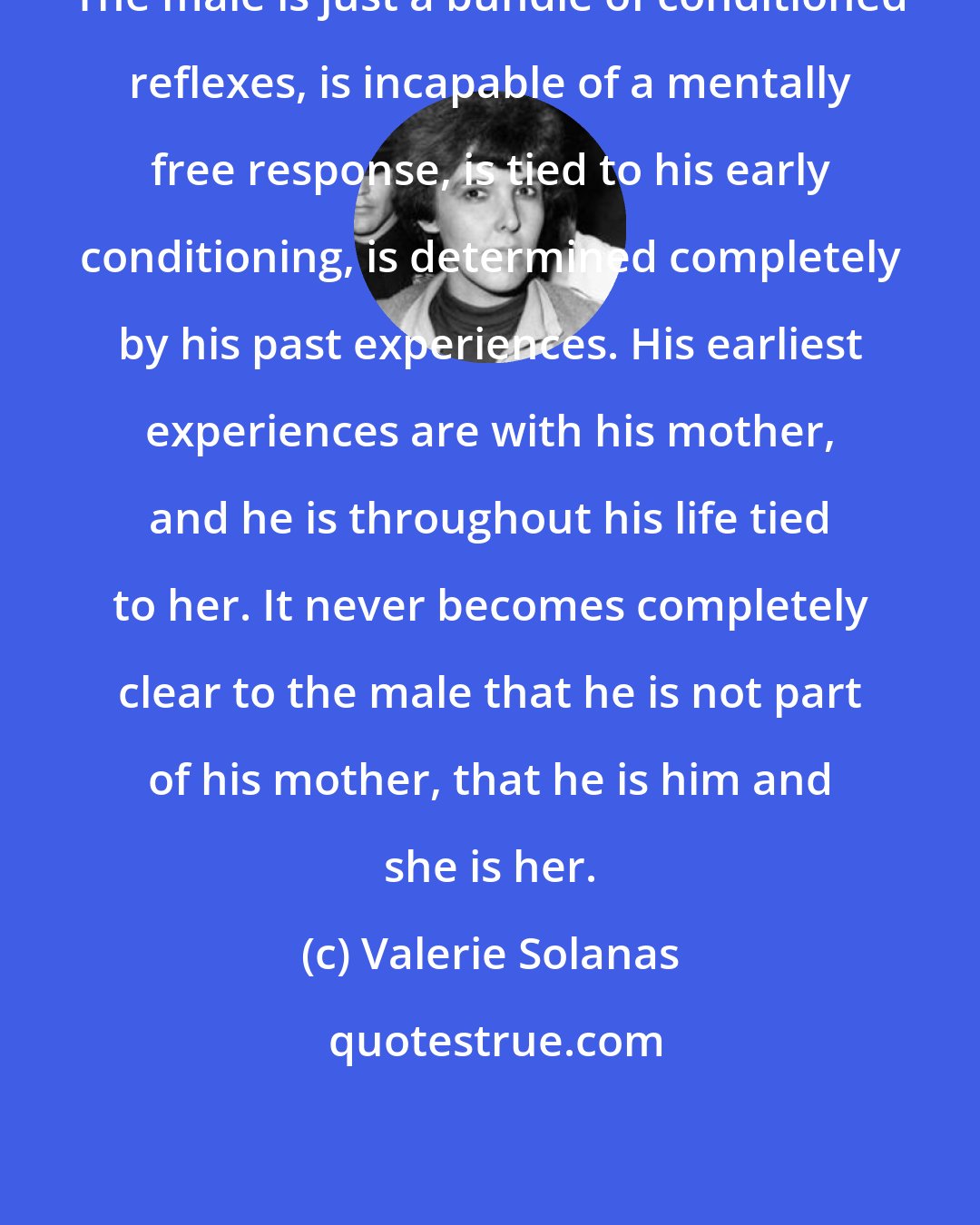 Valerie Solanas: The male is just a bundle of conditioned reflexes, is incapable of a mentally free response, is tied to his early conditioning, is determined completely by his past experiences. His earliest experiences are with his mother, and he is throughout his life tied to her. It never becomes completely clear to the male that he is not part of his mother, that he is him and she is her.
