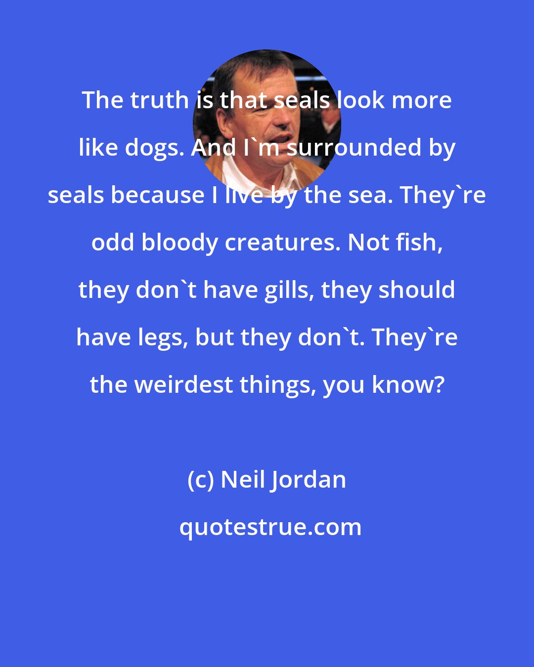 Neil Jordan: The truth is that seals look more like dogs. And I'm surrounded by seals because I live by the sea. They're odd bloody creatures. Not fish, they don't have gills, they should have legs, but they don't. They're the weirdest things, you know?