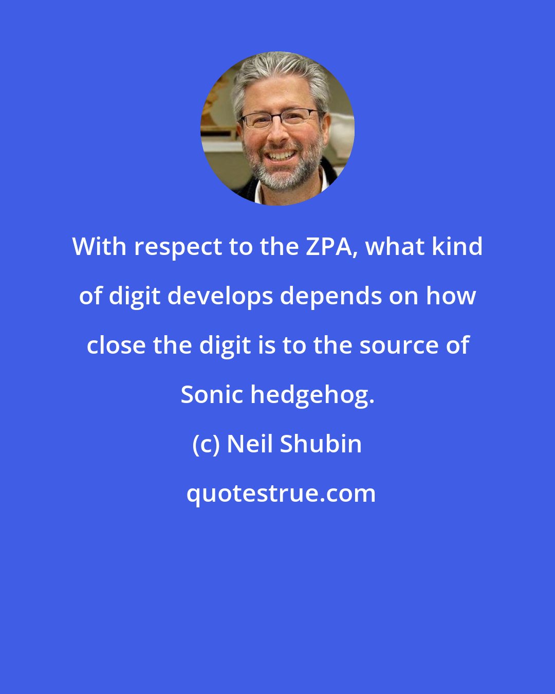Neil Shubin: With respect to the ZPA, what kind of digit develops depends on how close the digit is to the source of Sonic hedgehog.