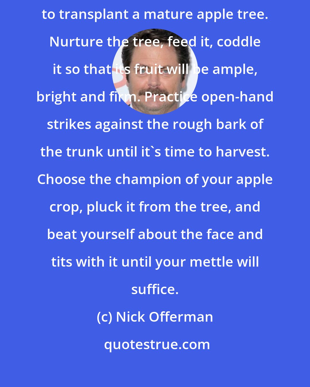 Nick Offerman: Turn off your computer and go out of doors. Dig a large enough hole to transplant a mature apple tree. Nurture the tree, feed it, coddle it so that its fruit will be ample, bright and firm. Practice open-hand strikes against the rough bark of the trunk until it's time to harvest. Choose the champion of your apple crop, pluck it from the tree, and beat yourself about the face and tits with it until your mettle will suffice.