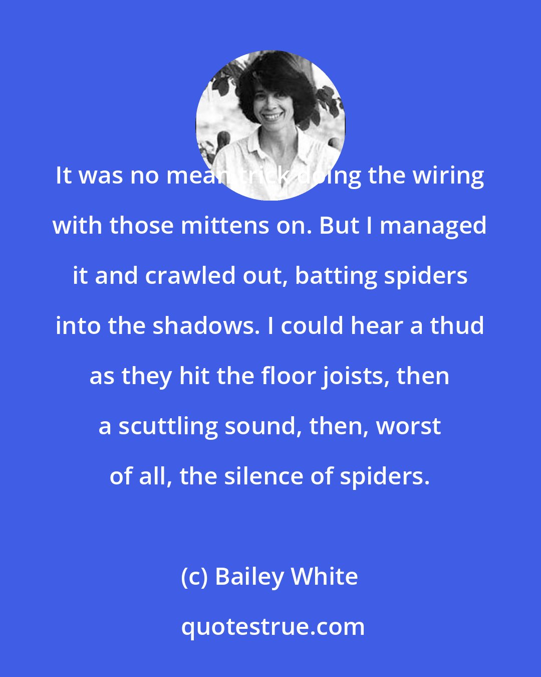 Bailey White: It was no mean trick doing the wiring with those mittens on. But I managed it and crawled out, batting spiders into the shadows. I could hear a thud as they hit the floor joists, then a scuttling sound, then, worst of all, the silence of spiders.