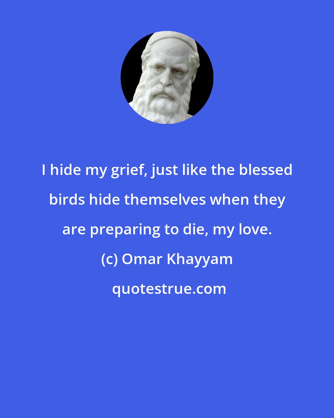 Omar Khayyam: I hide my grief, just like the blessed birds hide themselves when they are preparing to die, my love.