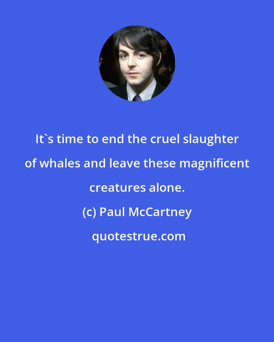 Paul McCartney: It's time to end the cruel slaughter of whales and leave these magnificent creatures alone.