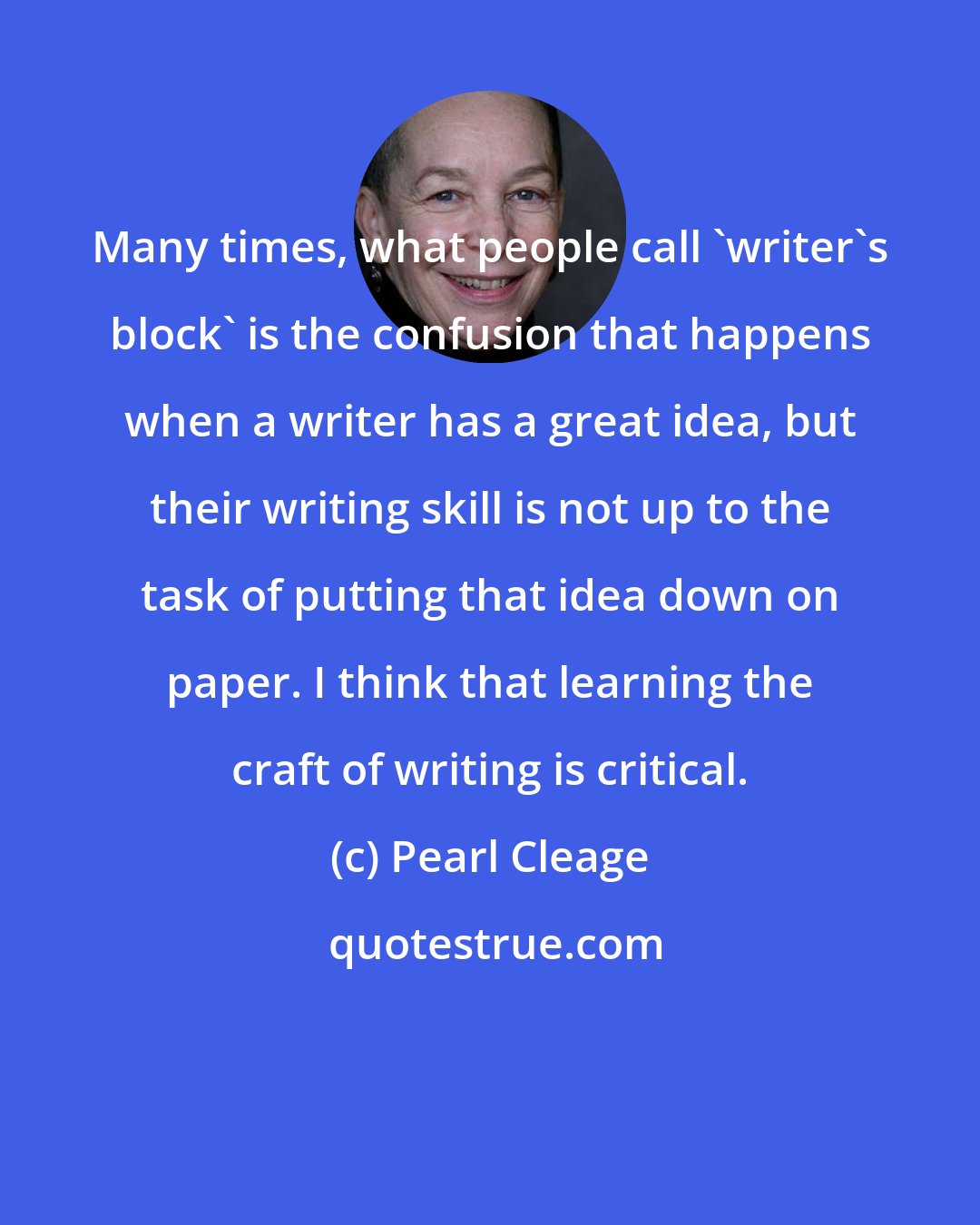 Pearl Cleage: Many times, what people call 'writer's block' is the confusion that happens when a writer has a great idea, but their writing skill is not up to the task of putting that idea down on paper. I think that learning the craft of writing is critical.