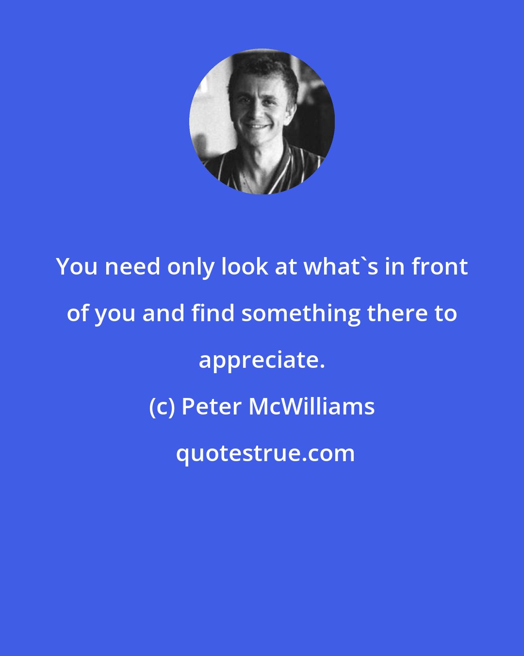 Peter McWilliams: You need only look at what's in front of you and find something there to appreciate.