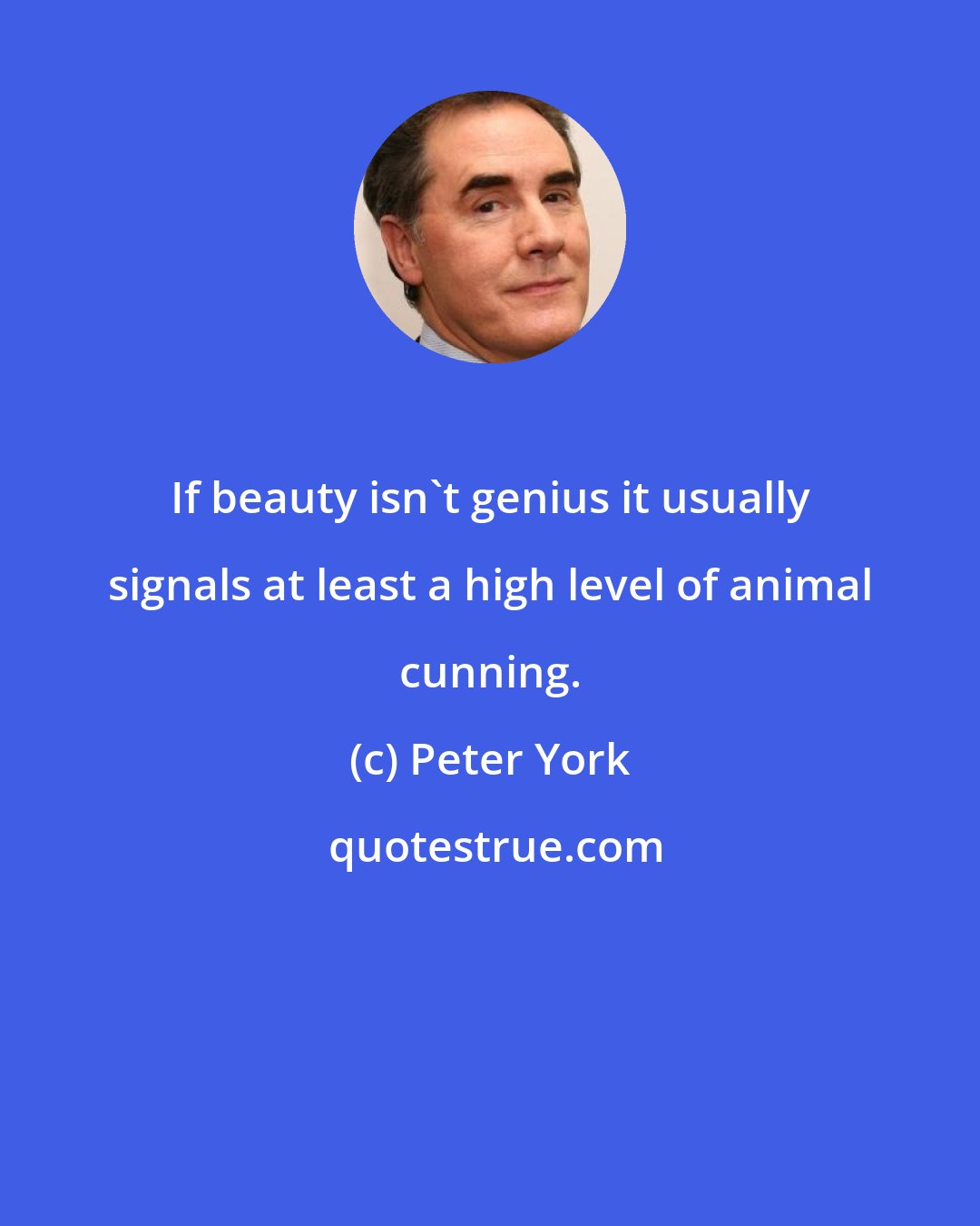 Peter York: If beauty isn't genius it usually signals at least a high level of animal cunning.