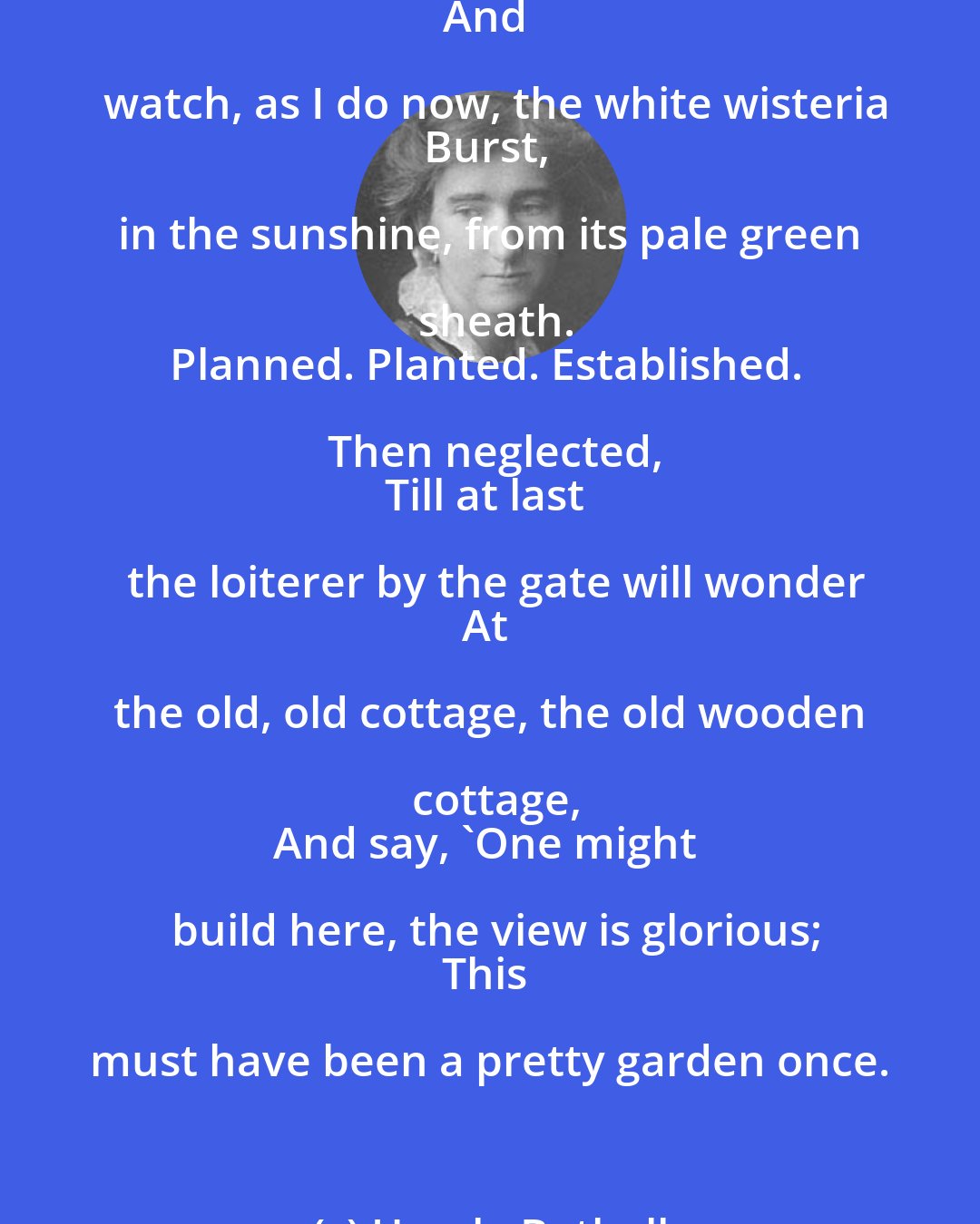 Ursula Bethell: 'Established' is a good word, much used in garden books,
'the plant, when established' ...
Oh, become established quickly, quickly, garden!
For I am fugitive, I am very fugitive -
Those that come after me will gather these roses,
And watch, as I do now, the white wisteria
Burst, in the sunshine, from its pale green sheath.
Planned. Planted. Established.  Then neglected, 
Till at last the loiterer by the gate will wonder
At the old, old cottage, the old wooden cottage,
And say, 'One might build here, the view is glorious;
This must have been a pretty garden once.