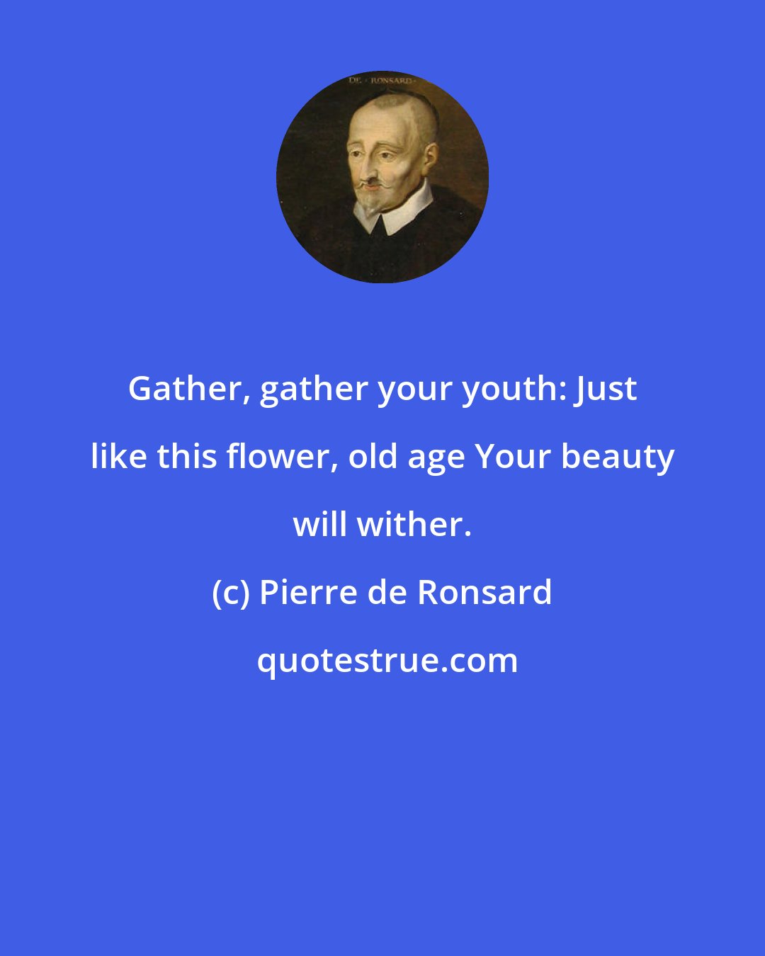 Pierre de Ronsard: Gather, gather your youth: Just like this flower, old age Your beauty will wither.