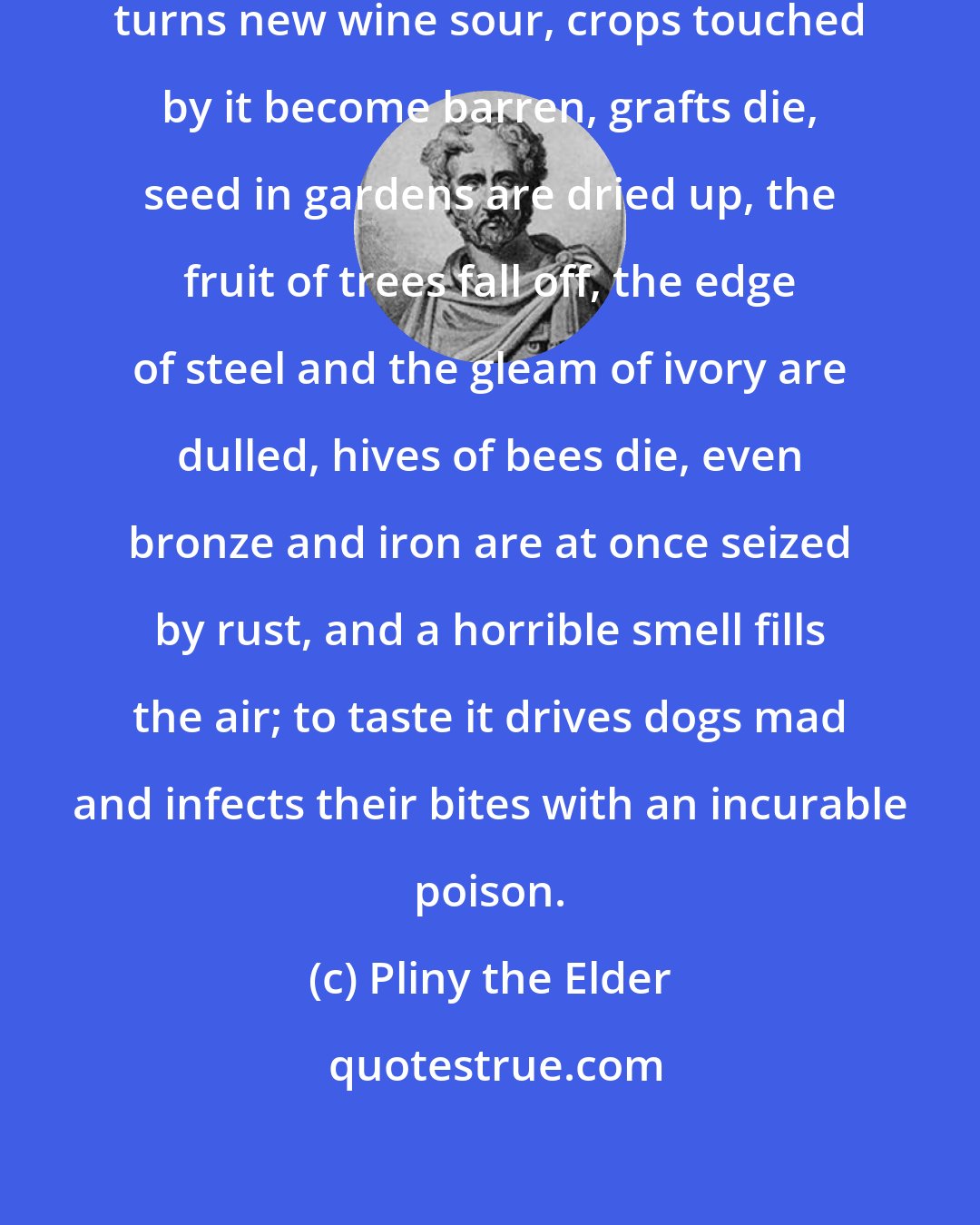 Pliny the Elder: Contact with [menstrual blood] turns new wine sour, crops touched by it become barren, grafts die, seed in gardens are dried up, the fruit of trees fall off, the edge of steel and the gleam of ivory are dulled, hives of bees die, even bronze and iron are at once seized by rust, and a horrible smell fills the air; to taste it drives dogs mad and infects their bites with an incurable poison.