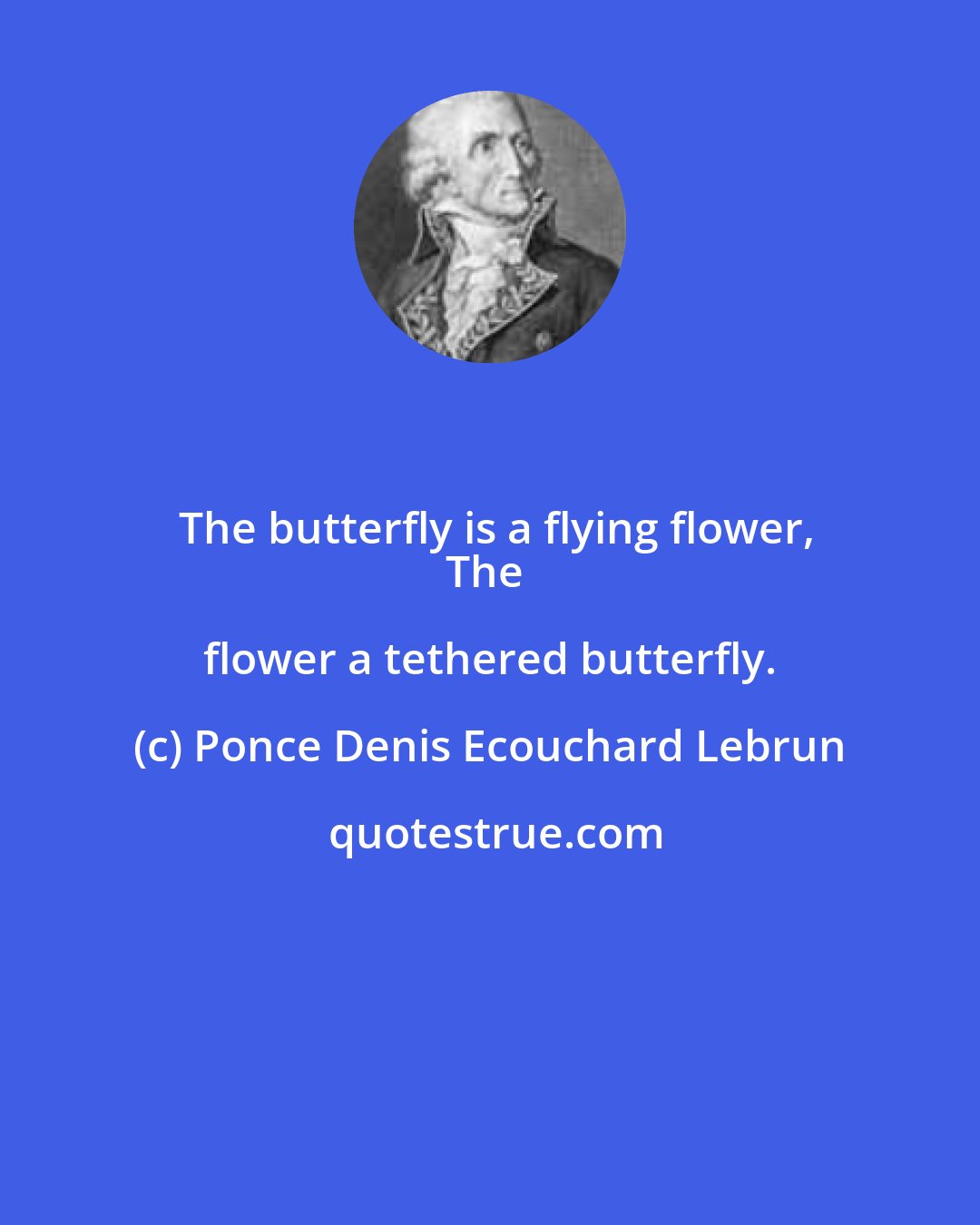 Ponce Denis Ecouchard Lebrun: The butterfly is a flying flower,
The flower a tethered butterfly.