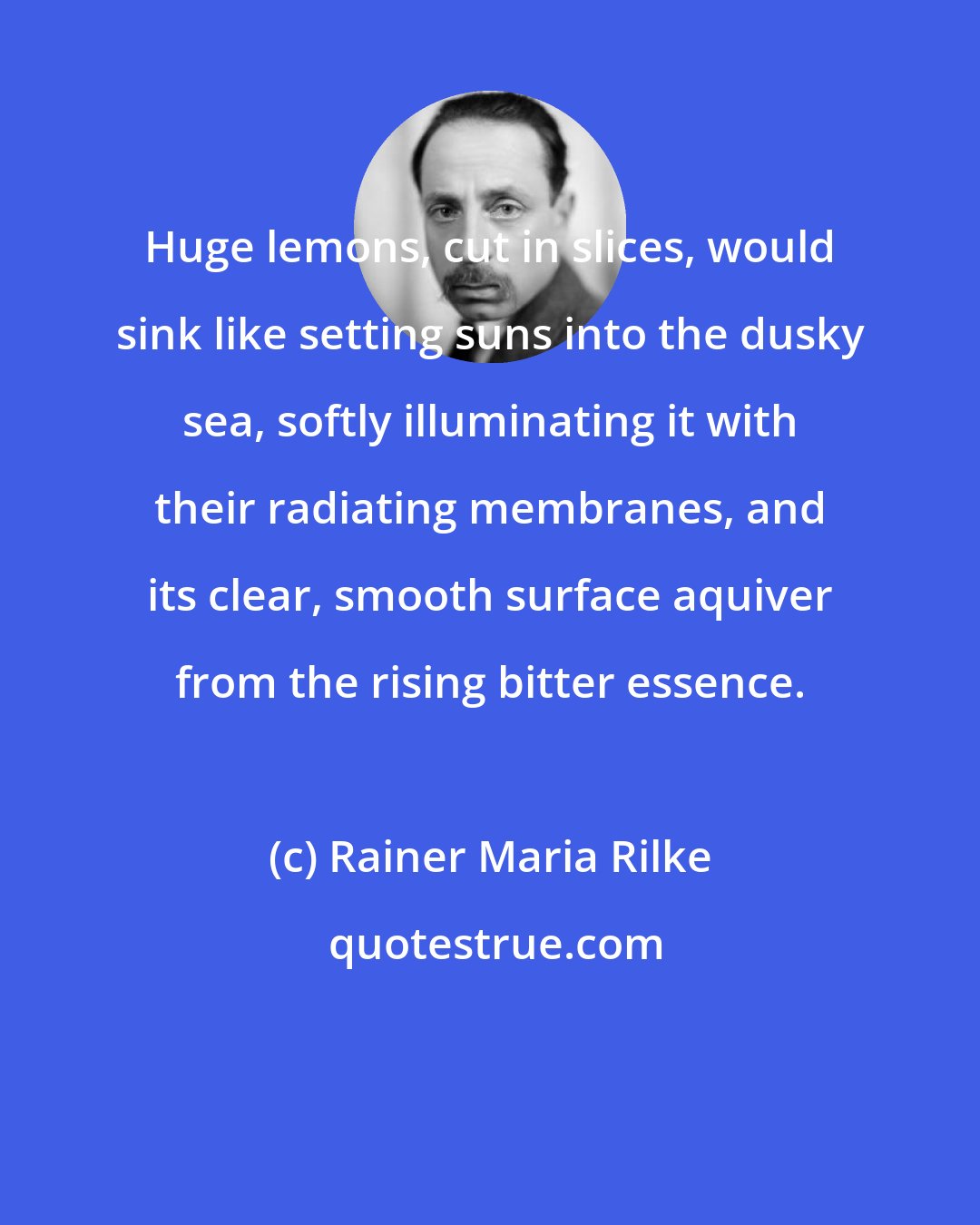 Rainer Maria Rilke: Huge lemons, cut in slices, would sink like setting suns into the dusky sea, softly illuminating it with their radiating membranes, and its clear, smooth surface aquiver from the rising bitter essence.