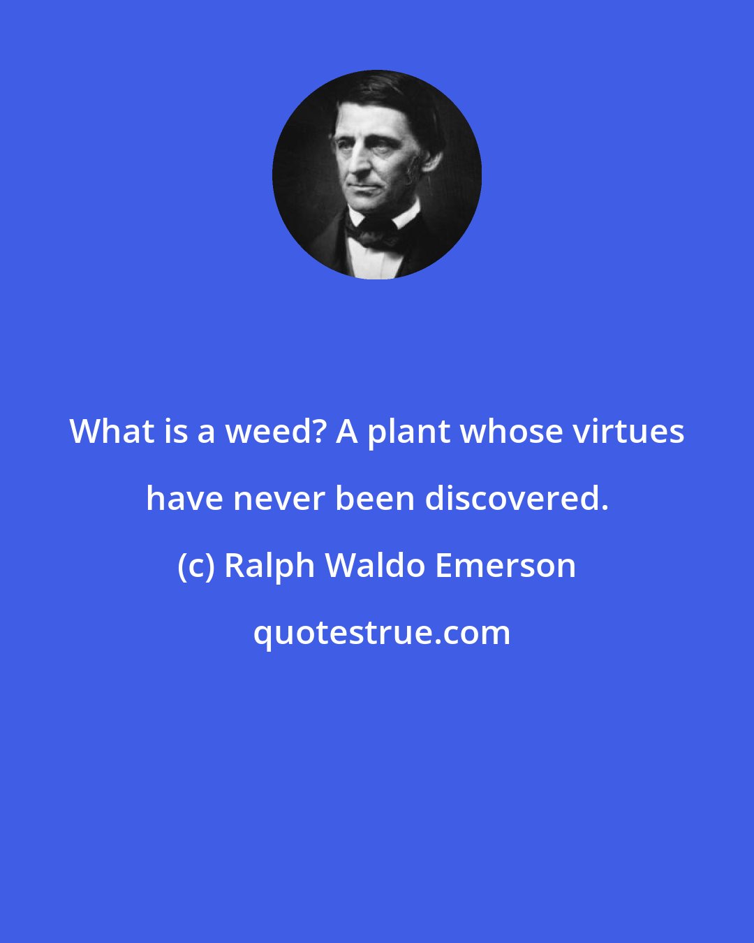 Ralph Waldo Emerson: What is a weed? A plant whose virtues have never been discovered.