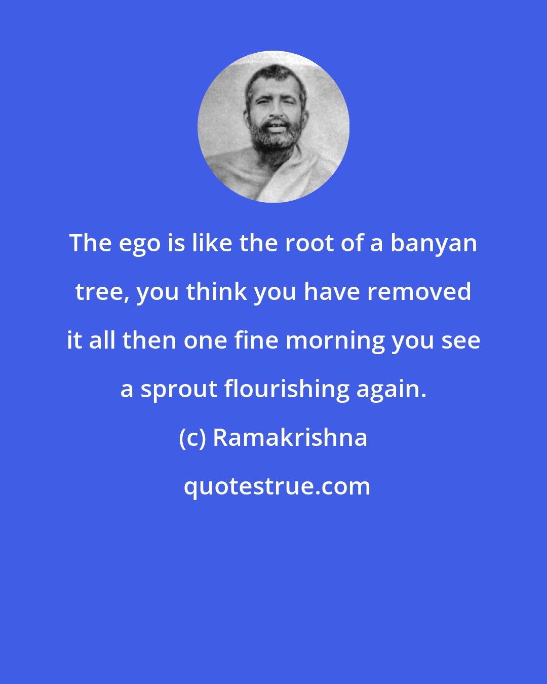 Ramakrishna: The ego is like the root of a banyan tree, you think you have removed it all then one fine morning you see a sprout flourishing again.