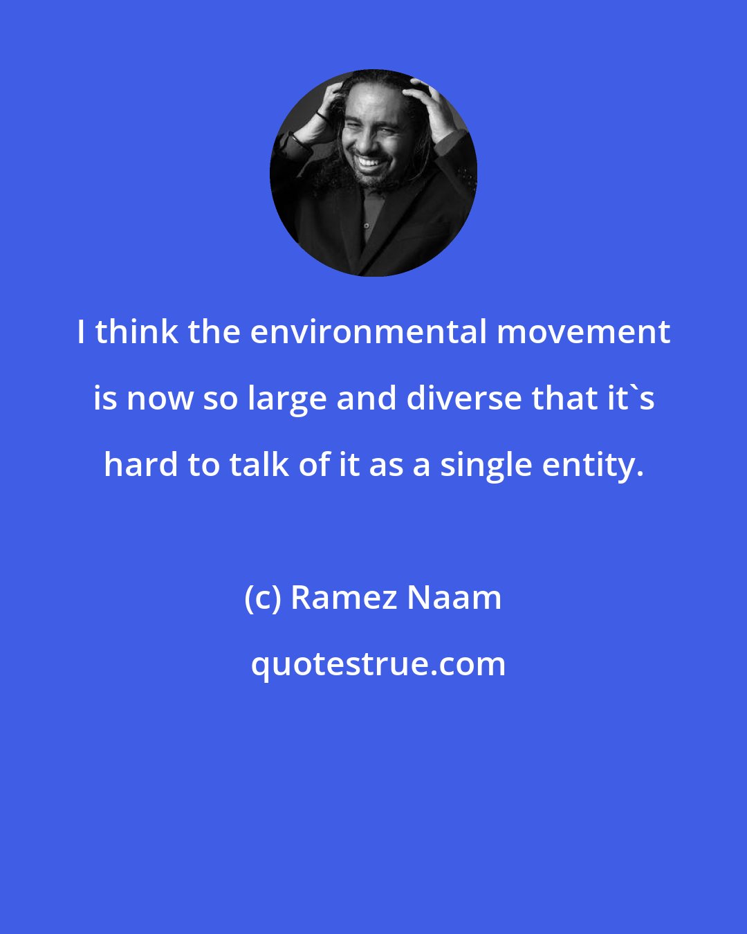 Ramez Naam: I think the environmental movement is now so large and diverse that it's hard to talk of it as a single entity.