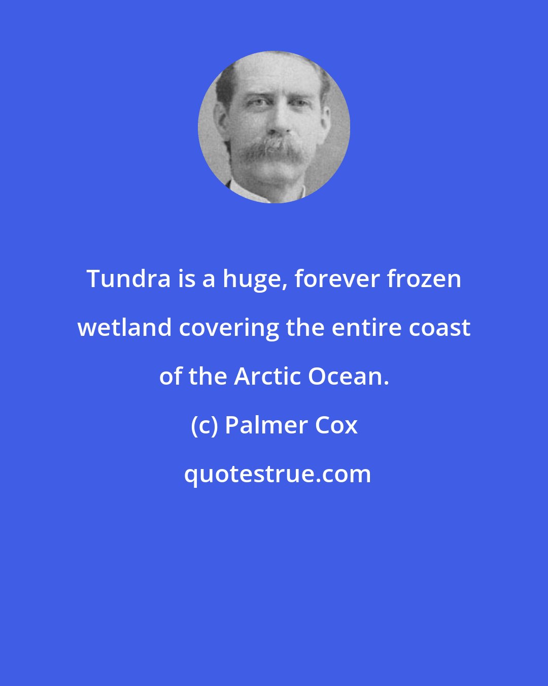 Palmer Cox: Tundra is a huge, forever frozen wetland covering the entire coast of the Arctic Ocean.