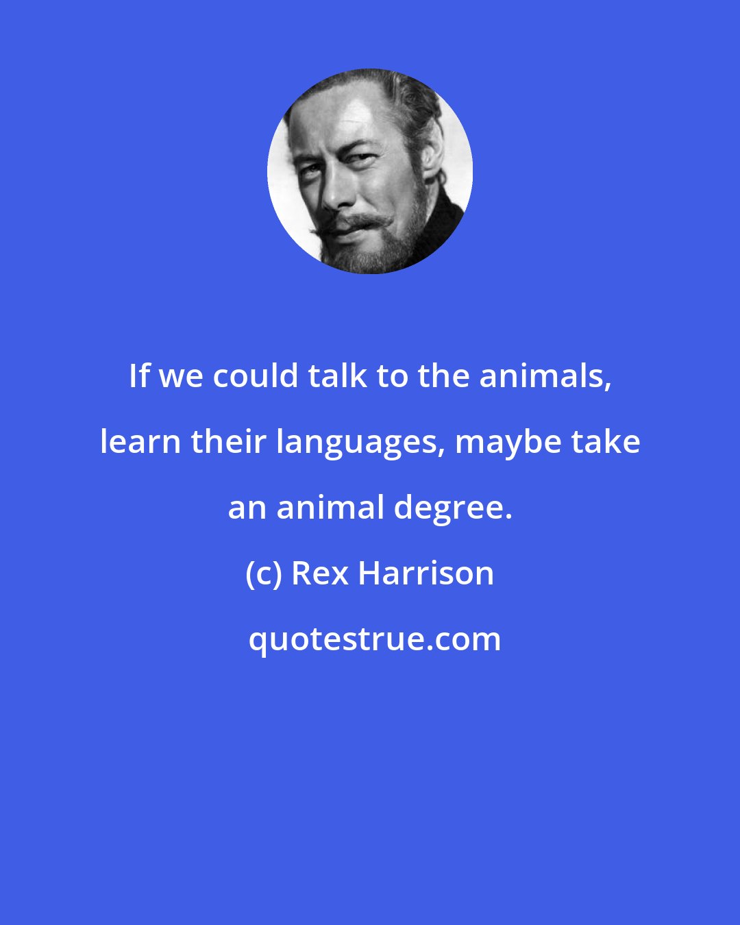 Rex Harrison: If we could talk to the animals, learn their languages, maybe take an animal degree.