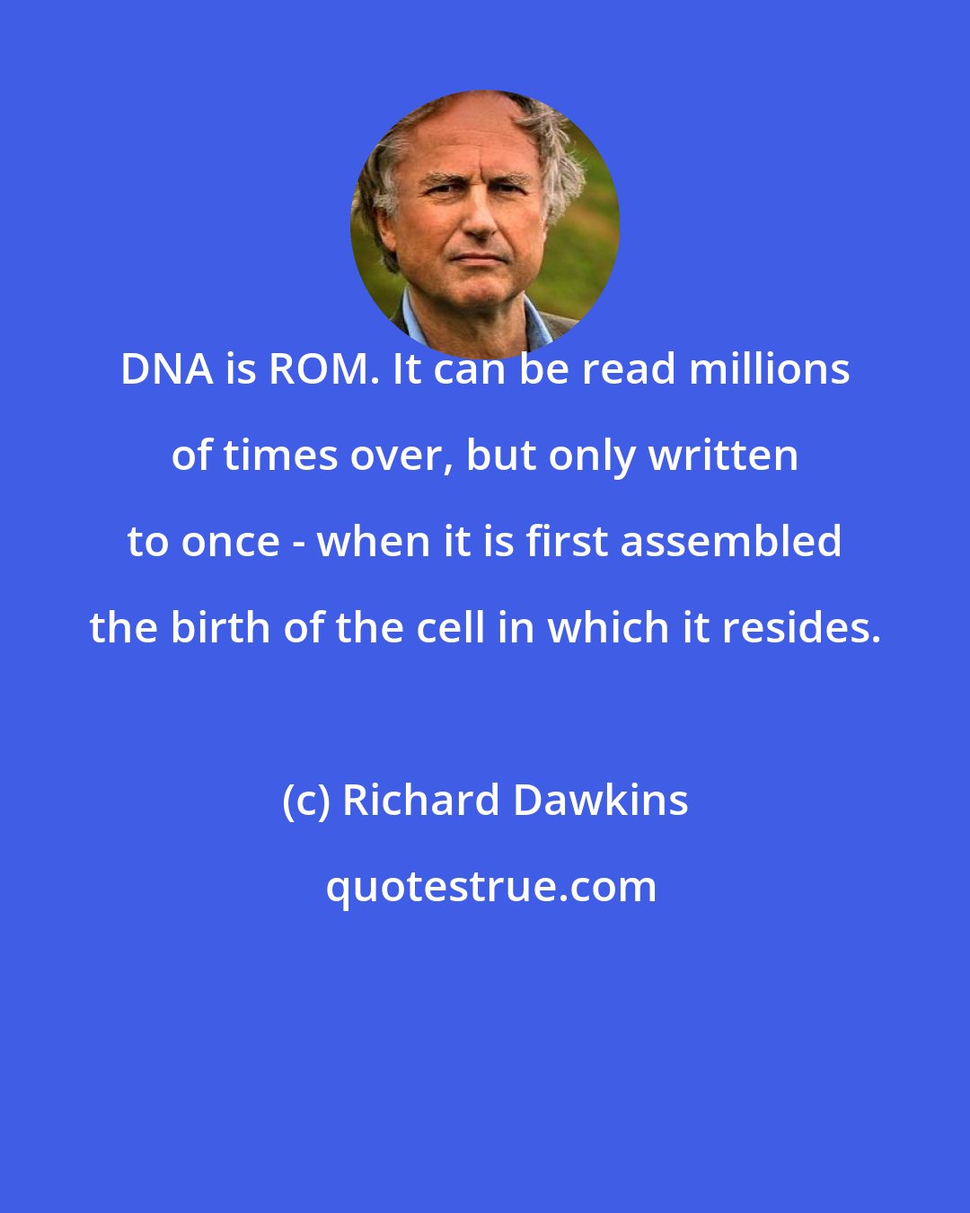Richard Dawkins: DNA is ROM. It can be read millions of times over, but only written to once - when it is first assembled the birth of the cell in which it resides.