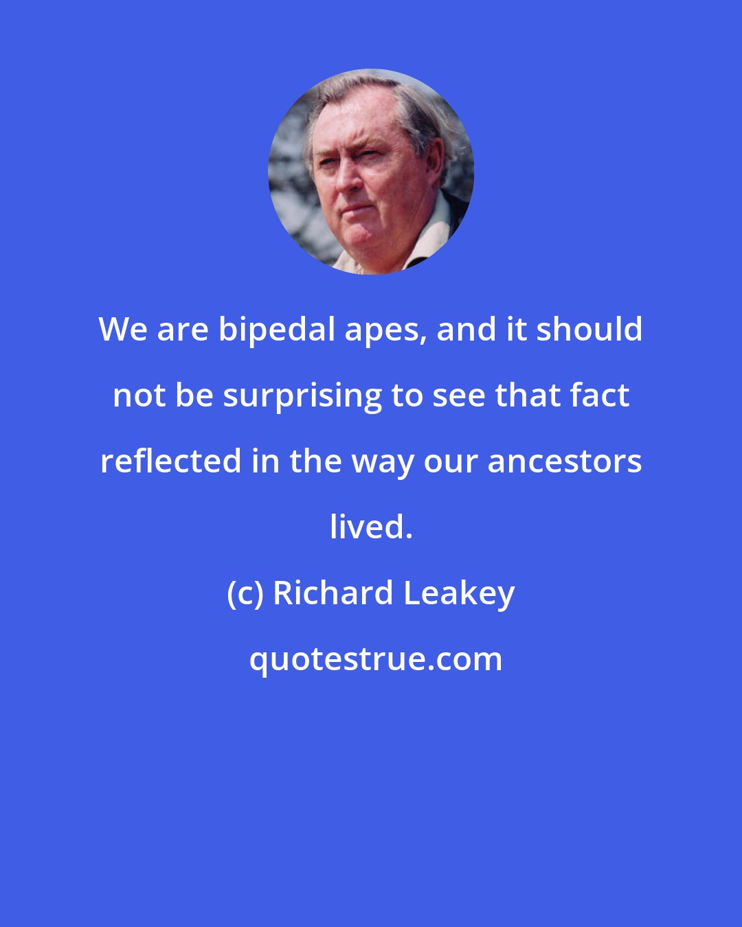 Richard Leakey: We are bipedal apes, and it should not be surprising to see that fact reflected in the way our ancestors lived.