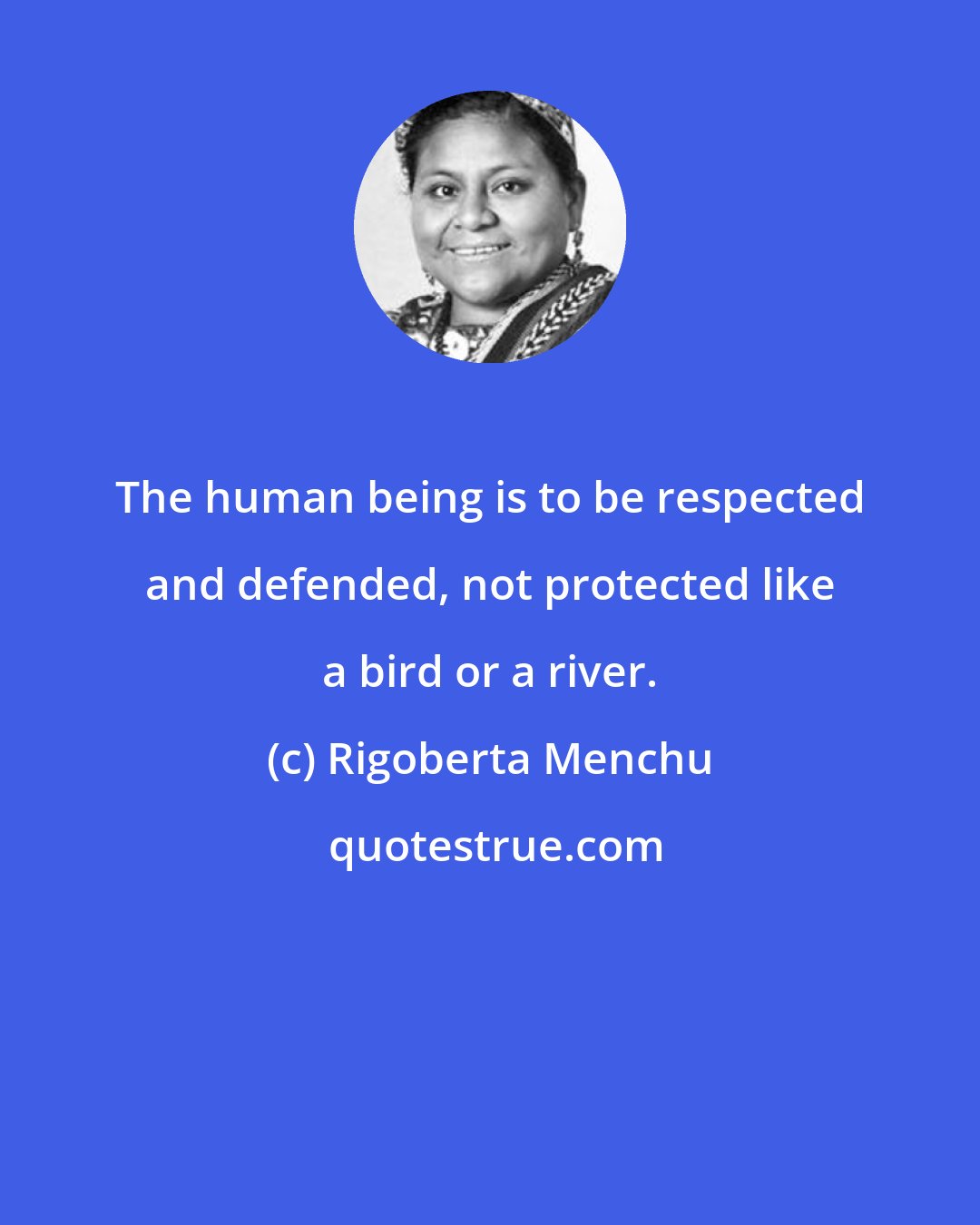 Rigoberta Menchu: The human being is to be respected and defended, not protected like a bird or a river.