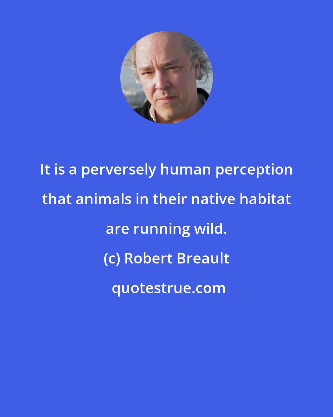 Robert Breault: It is a perversely human perception that animals in their native habitat are running wild.