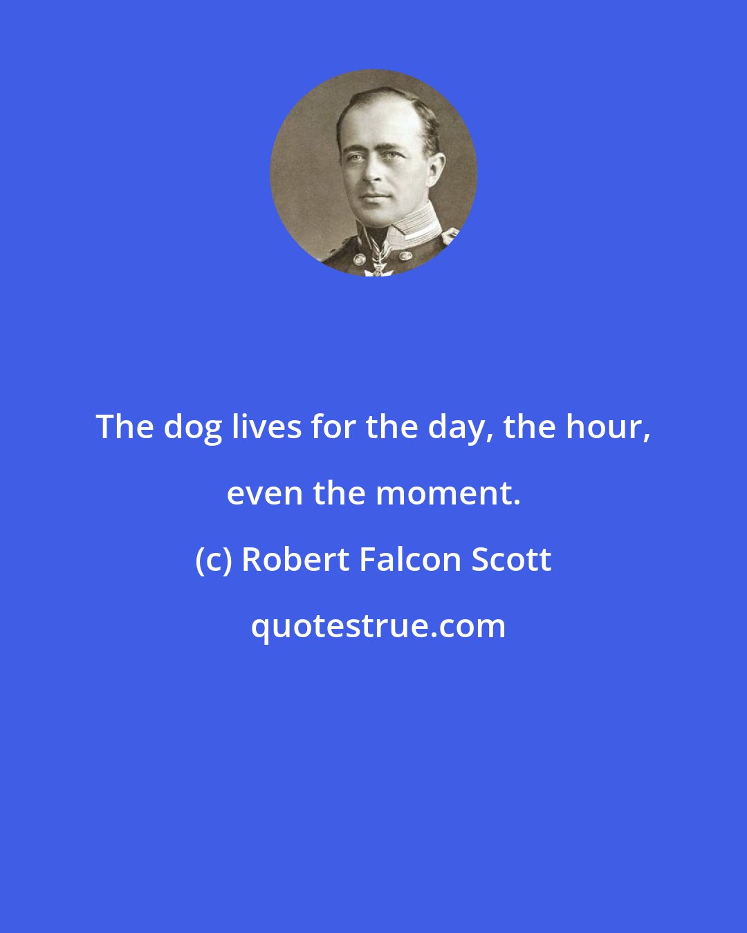 Robert Falcon Scott: The dog lives for the day, the hour, even the moment.