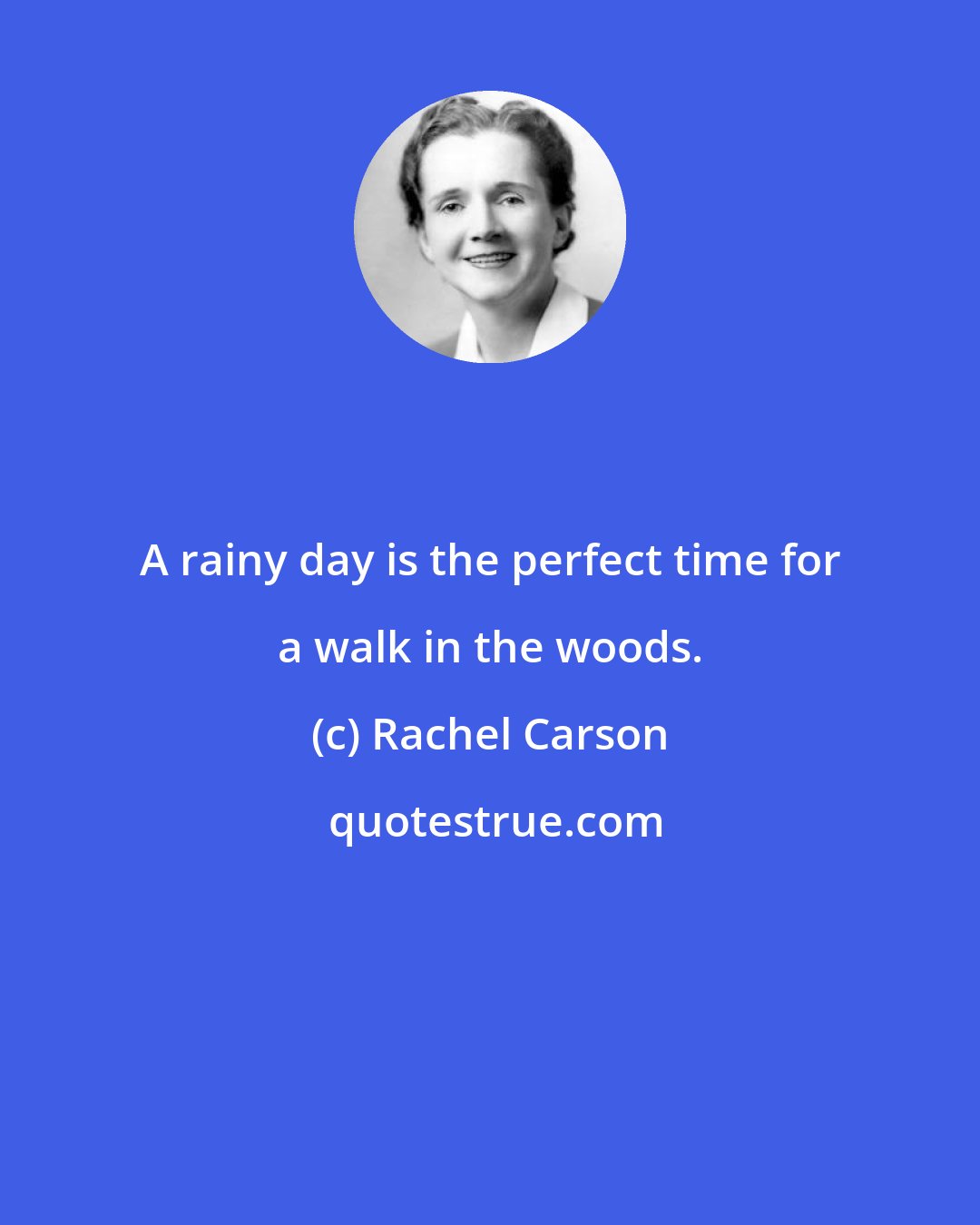 Rachel Carson: A rainy day is the perfect time for a walk in the woods.
