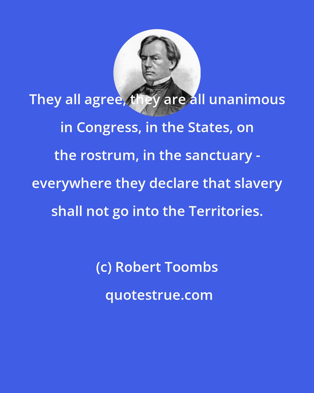 Robert Toombs: They all agree, they are all unanimous in Congress, in the States, on the rostrum, in the sanctuary - everywhere they declare that slavery shall not go into the Territories.