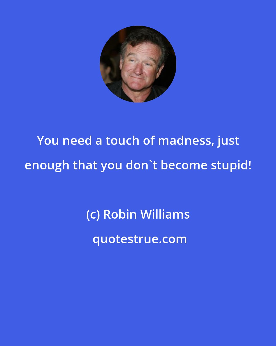 Robin Williams: You need a touch of madness, just enough that you don't become stupid!