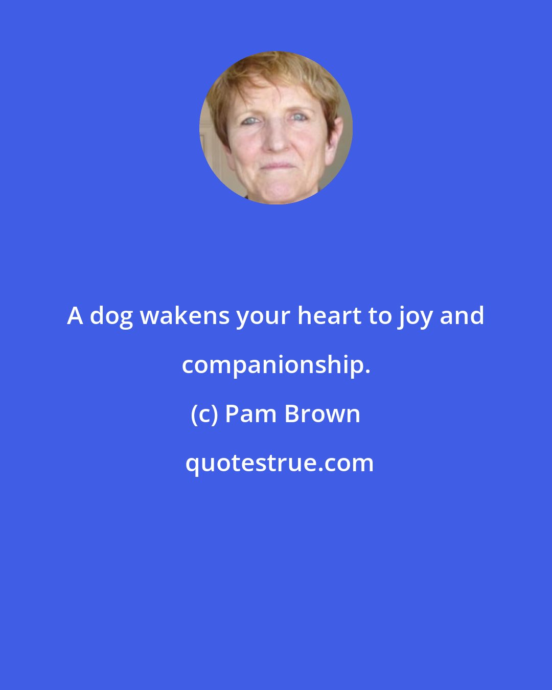 Pam Brown: A dog wakens your heart to joy and companionship.