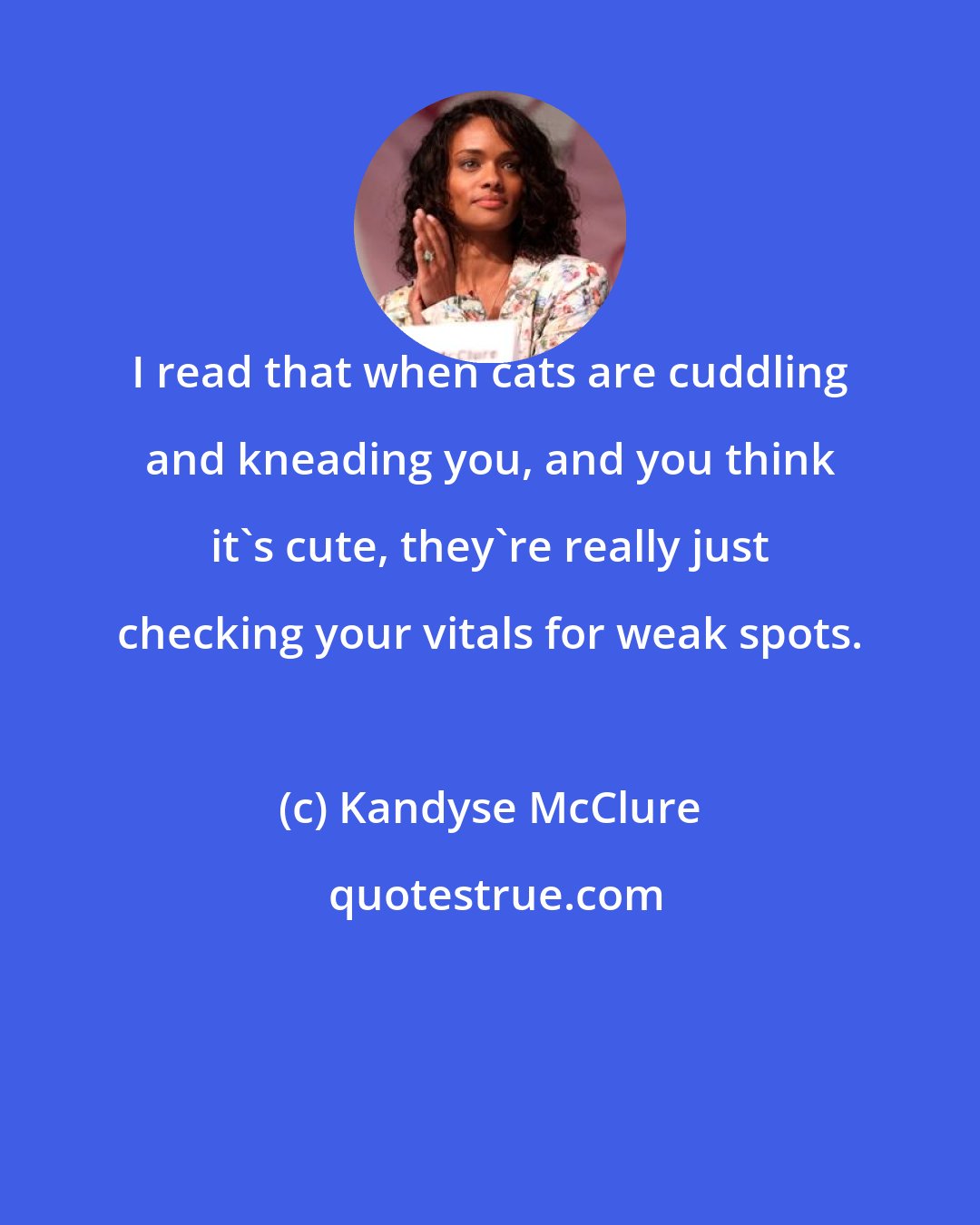 Kandyse McClure: I read that when cats are cuddling and kneading you, and you think it's cute, they're really just checking your vitals for weak spots.