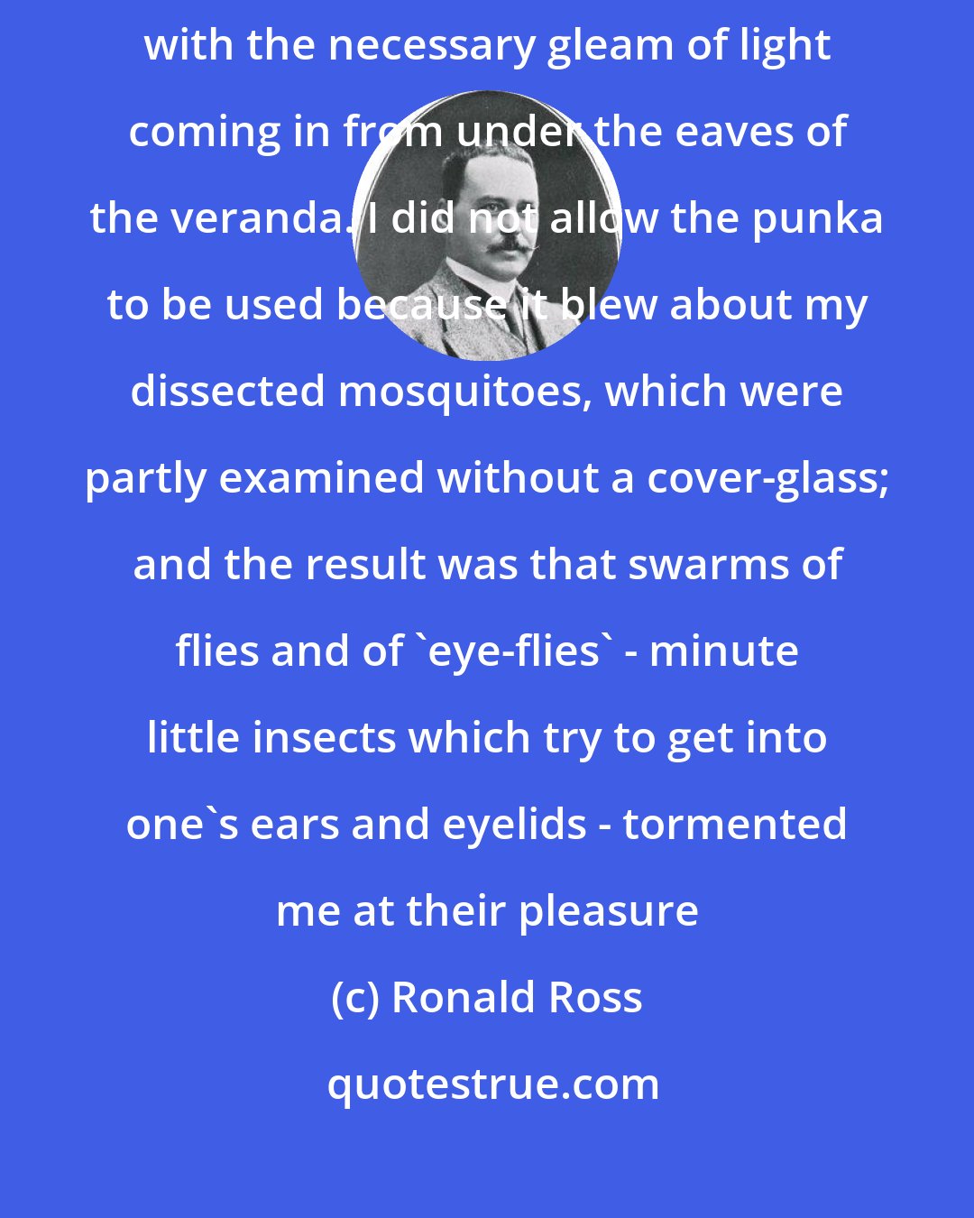 Ronald Ross: Well do I remember that dark hot little office in the hospital at Begumpett, with the necessary gleam of light coming in from under the eaves of the veranda. I did not allow the punka to be used because it blew about my dissected mosquitoes, which were partly examined without a cover-glass; and the result was that swarms of flies and of 'eye-flies' - minute little insects which try to get into one's ears and eyelids - tormented me at their pleasure