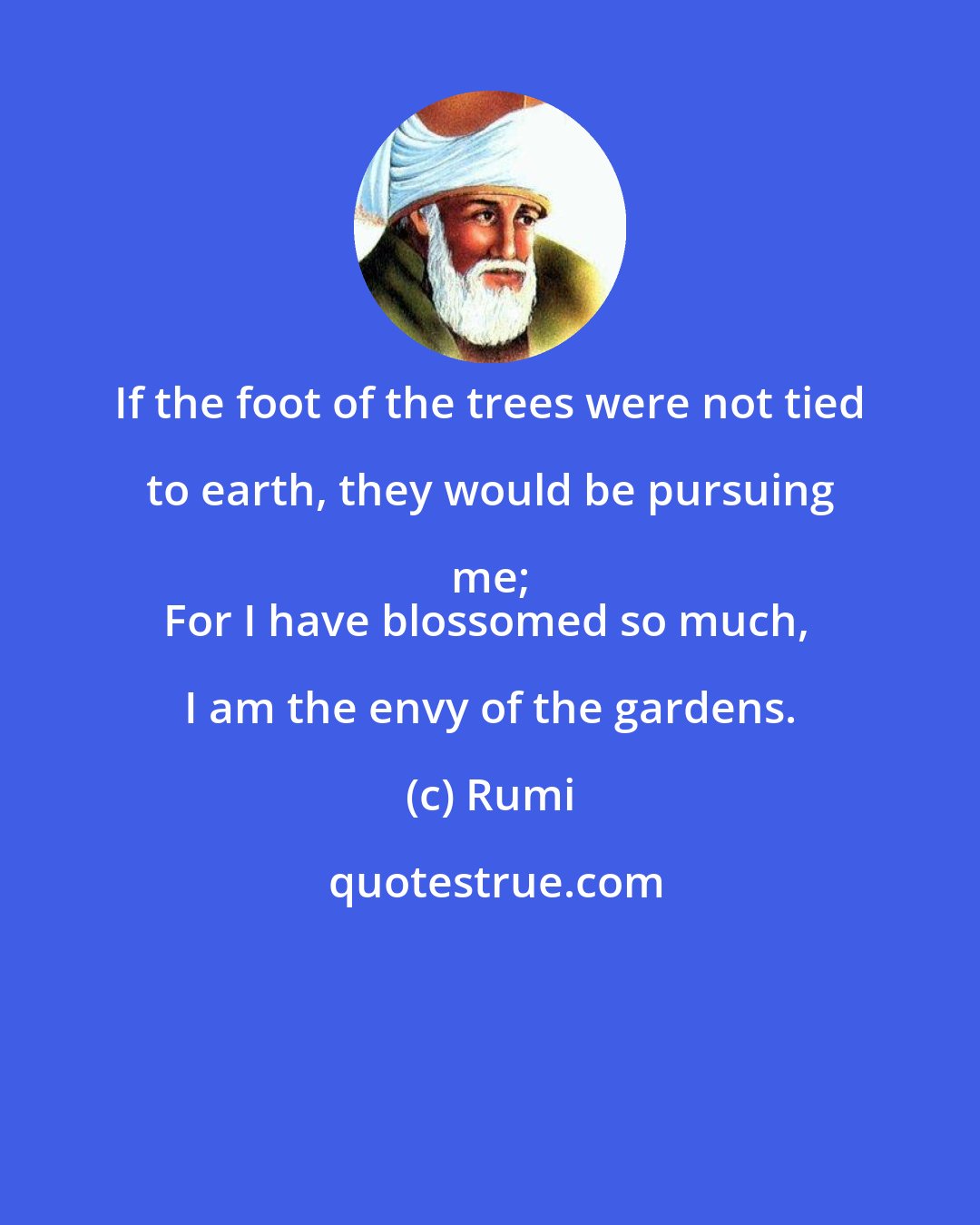 Rumi: If the foot of the trees were not tied to earth, they would be pursuing me; 
For I have blossomed so much, I am the envy of the gardens.