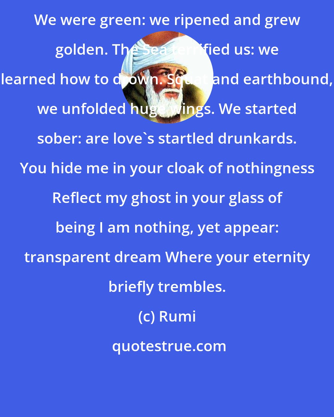 Rumi: We were green: we ripened and grew golden. The Sea terrified us: we learned how to drown. Squat and earthbound, we unfolded huge wings. We started sober: are love's startled drunkards. You hide me in your cloak of nothingness Reflect my ghost in your glass of being I am nothing, yet appear: transparent dream Where your eternity briefly trembles.