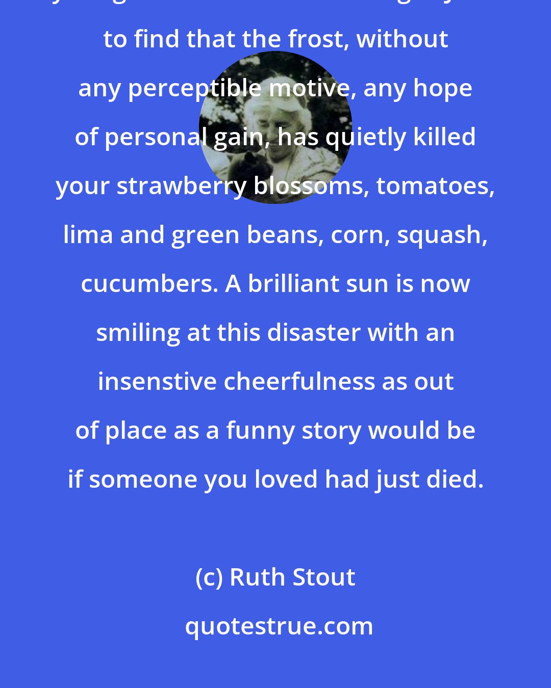 Ruth Stout: If 'heartache' sounds exaggerated then surely you have never gone to your garden one rare morning in June to find that the frost, without any perceptible motive, any hope of personal gain, has quietly killed your strawberry blossoms, tomatoes, lima and green beans, corn, squash, cucumbers. A brilliant sun is now smiling at this disaster with an insenstive cheerfulness as out of place as a funny story would be if someone you loved had just died.