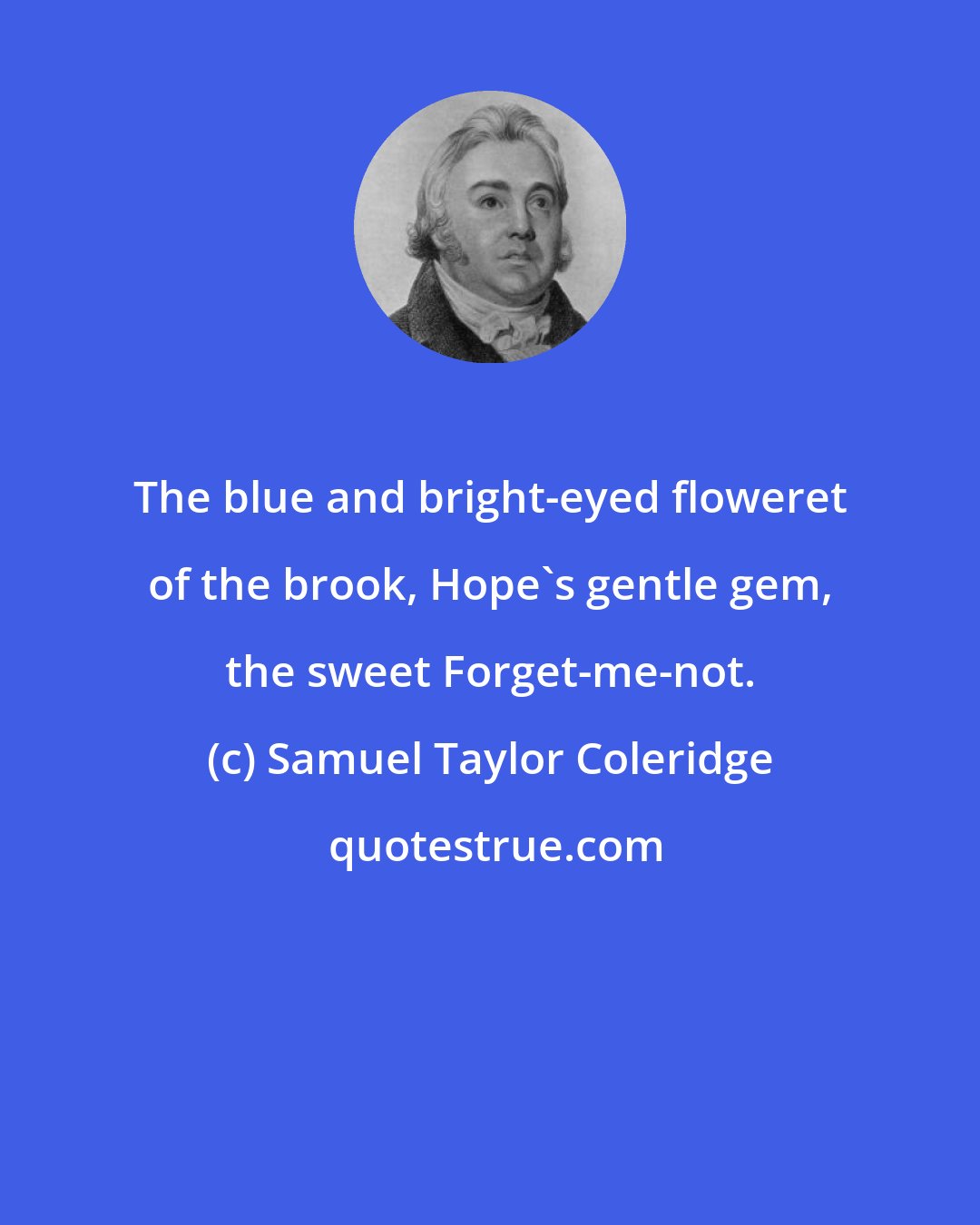 Samuel Taylor Coleridge: The blue and bright-eyed floweret of the brook, Hope's gentle gem, the sweet Forget-me-not.