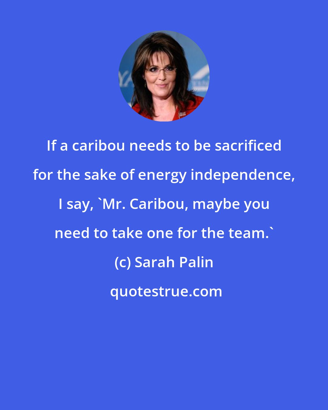 Sarah Palin: If a caribou needs to be sacrificed for the sake of energy independence, I say, 'Mr. Caribou, maybe you need to take one for the team.'