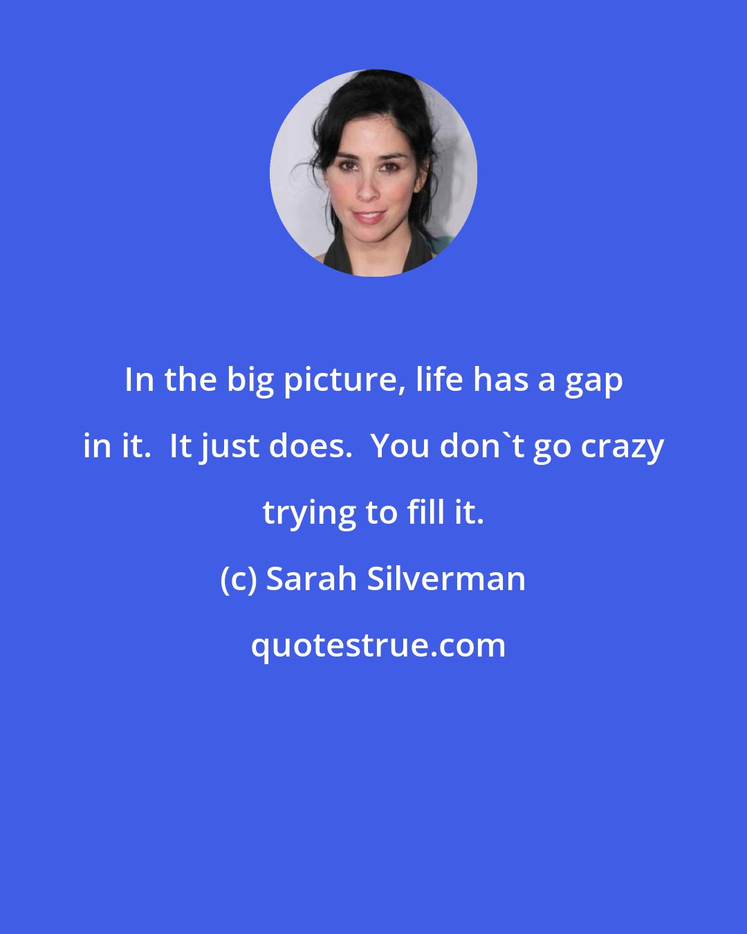 Sarah Silverman: In the big picture, life has a gap in it.  It just does.  You don't go crazy trying to fill it.