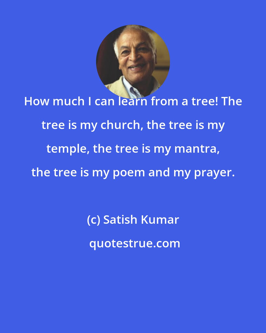 Satish Kumar: How much I can learn from a tree! The tree is my church, the tree is my temple, the tree is my mantra, the tree is my poem and my prayer.