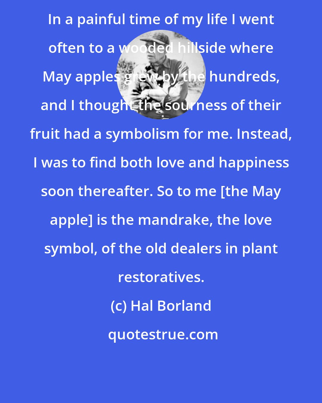 Hal Borland: In a painful time of my life I went often to a wooded hillside where May apples grew by the hundreds, and I thought the sourness of their fruit had a symbolism for me. Instead, I was to find both love and happiness soon thereafter. So to me [the May apple] is the mandrake, the love symbol, of the old dealers in plant restoratives.