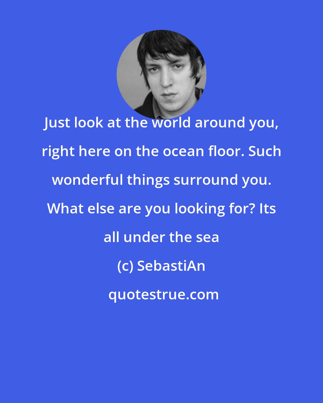 SebastiAn: Just look at the world around you, right here on the ocean floor. Such wonderful things surround you. What else are you looking for? Its all under the sea