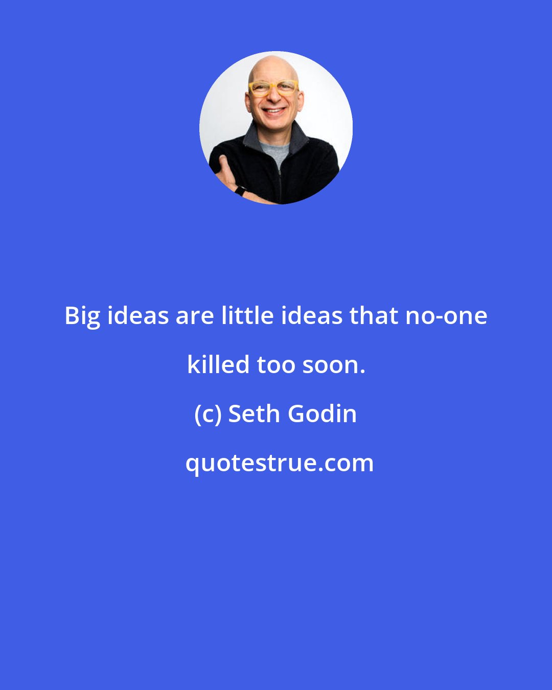 Seth Godin: Big ideas are little ideas that no-one killed too soon.