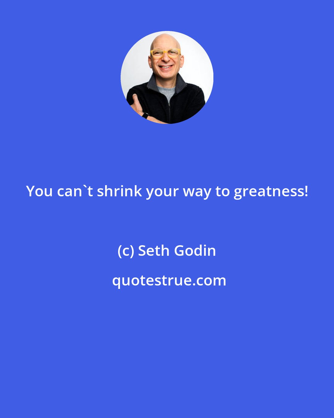 Seth Godin: You can't shrink your way to greatness!