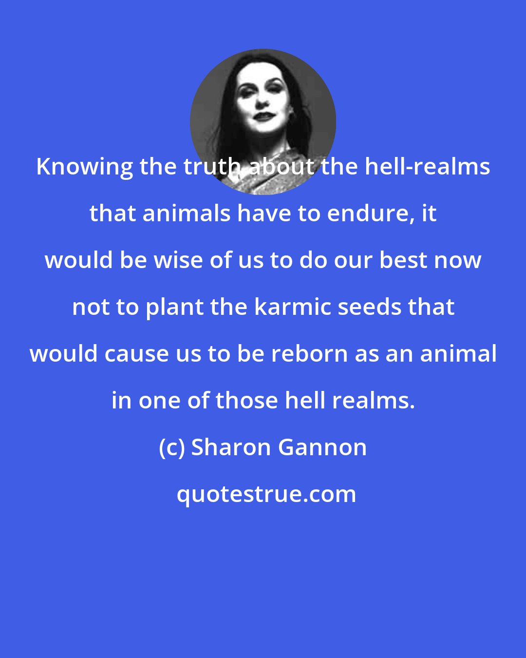 Sharon Gannon: Knowing the truth about the hell-realms that animals have to endure, it would be wise of us to do our best now not to plant the karmic seeds that would cause us to be reborn as an animal in one of those hell realms.