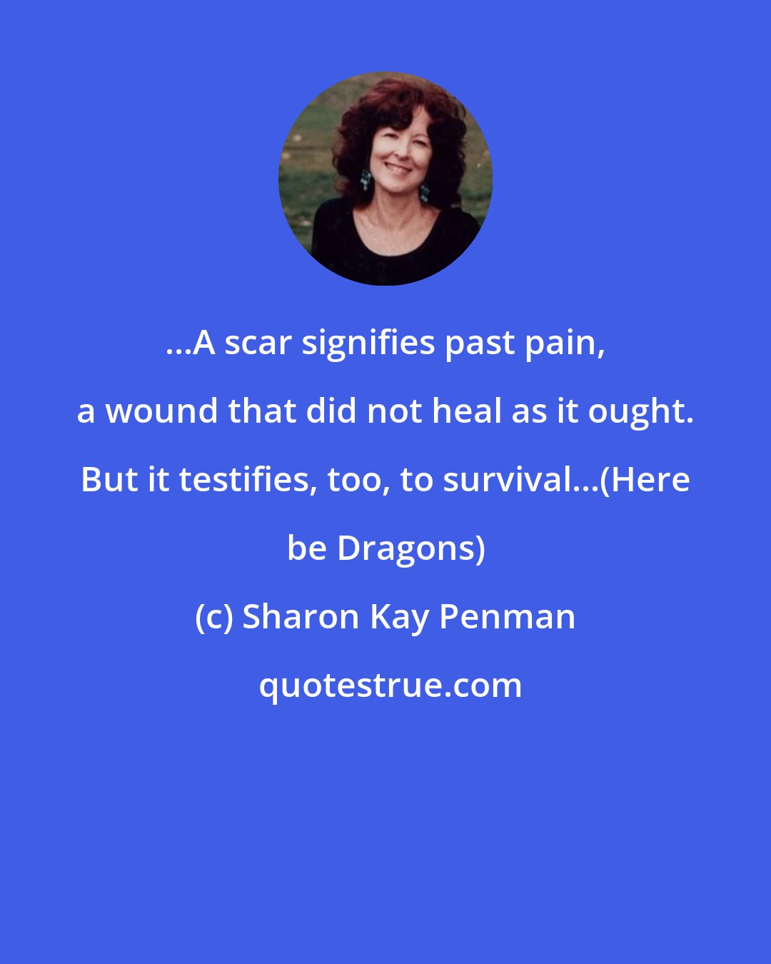 Sharon Kay Penman: ...A scar signifies past pain, a wound that did not heal as it ought. But it testifies, too, to survival...(Here be Dragons)