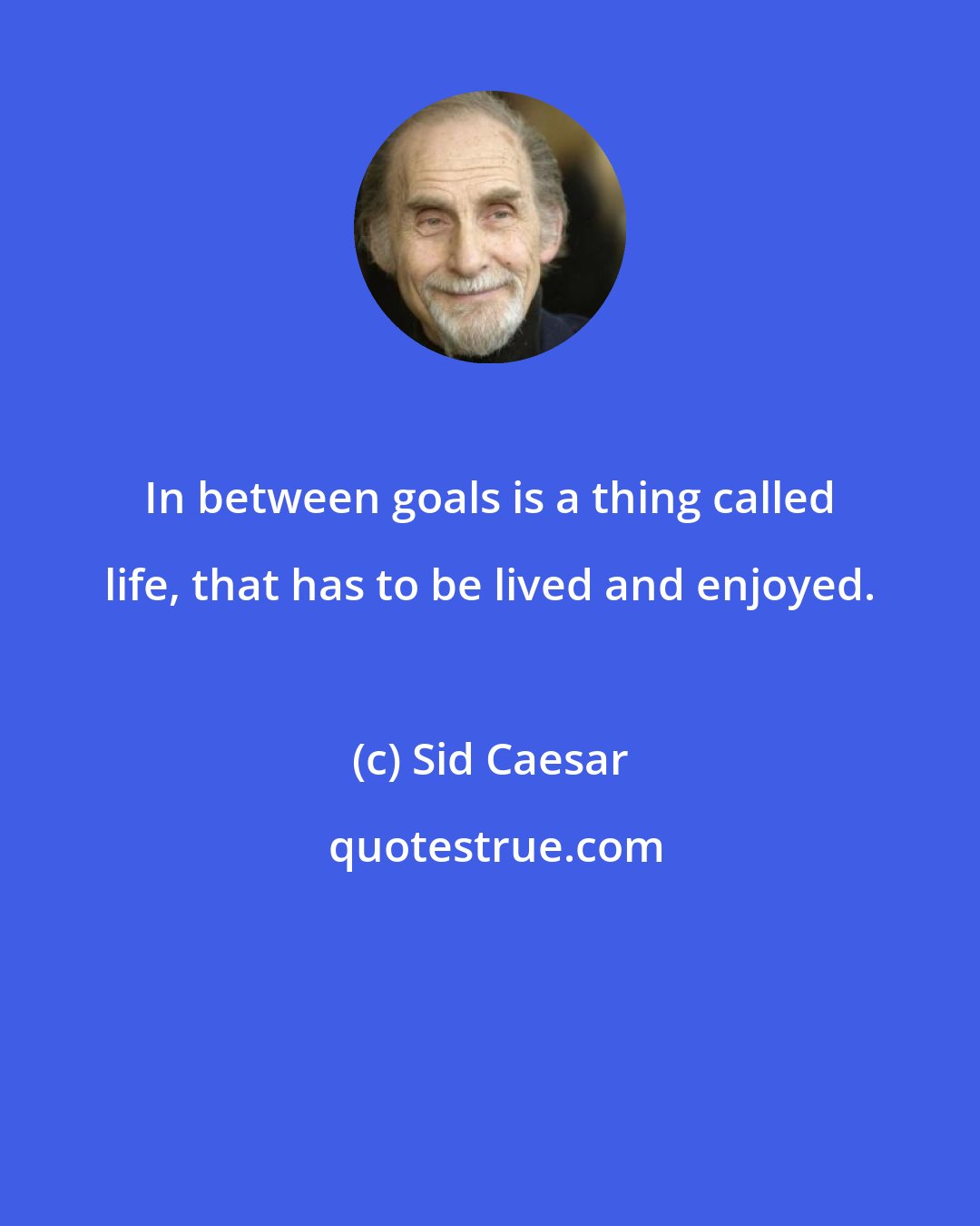 Sid Caesar: In between goals is a thing called life, that has to be lived and enjoyed.