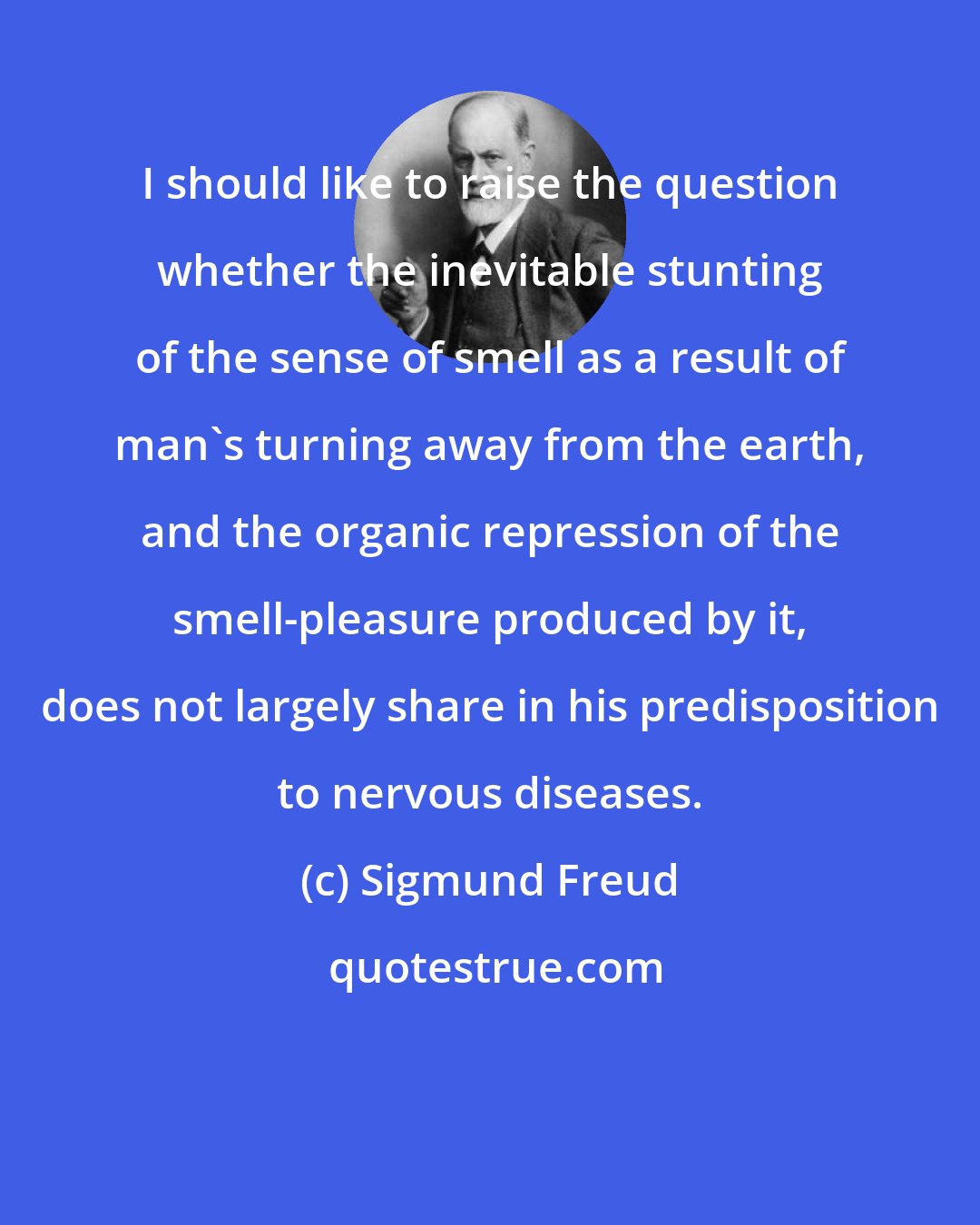 Sigmund Freud: I should like to raise the question whether the inevitable stunting of the sense of smell as a result of man's turning away from the earth, and the organic repression of the smell-pleasure produced by it, does not largely share in his predisposition to nervous diseases.