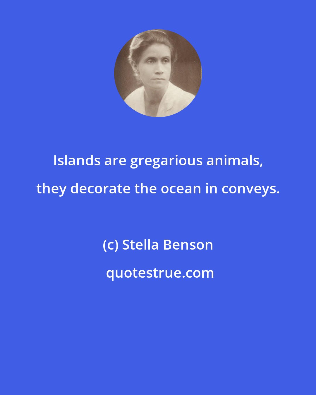 Stella Benson: Islands are gregarious animals, they decorate the ocean in conveys.