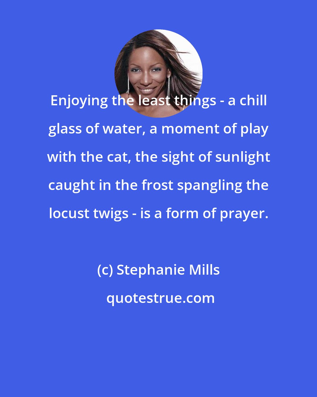 Stephanie Mills: Enjoying the least things - a chill glass of water, a moment of play with the cat, the sight of sunlight caught in the frost spangling the locust twigs - is a form of prayer.